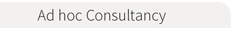 Ad hoc Consultancy