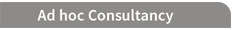 Ad hoc Consultancy